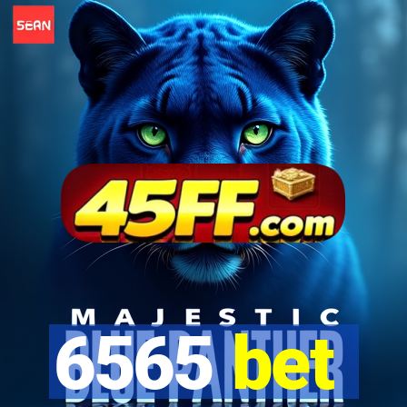 6565 bet
